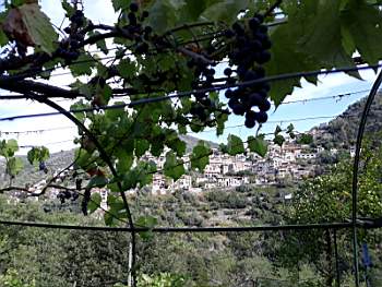 07-e2019-09-21 at 20.42.17 (1).jpeg